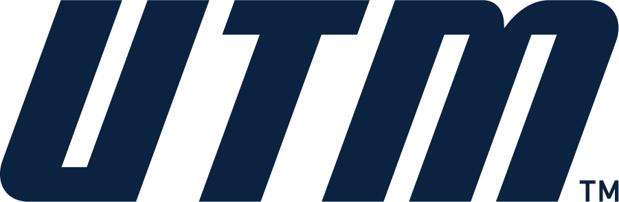 Tennessee-Martin Skyhawks 2020-Pres Wordmark Logo diy iron on heat transfer